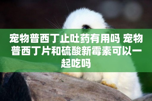 寵物普西丁止吐藥有用嗎 寵物普西丁片和硫酸新霉素可以一起吃嗎