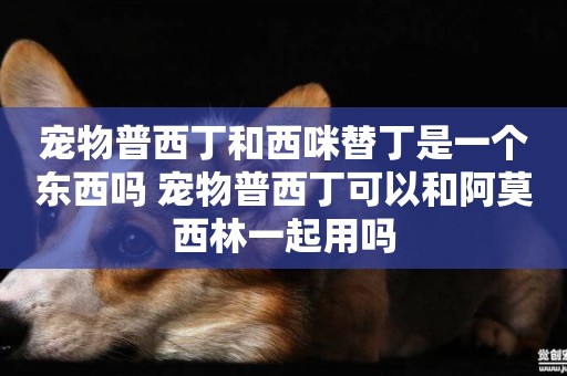 寵物普西丁和西咪替丁是一個東西嗎 寵物普西丁可以和阿莫西林一起用嗎