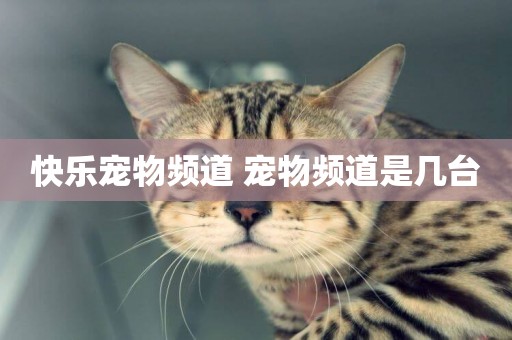 快樂寵物頻道 寵物頻道是幾臺
