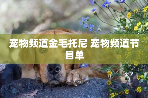 寵物頻道金毛托尼 寵物頻道節目單