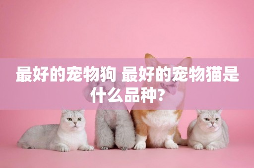 最好的寵物狗 最好的寵物貓是什么品種?