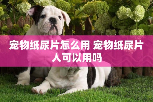 寵物紙尿片怎么用 寵物紙尿片人可以用嗎