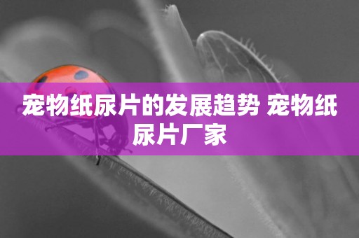 寵物紙尿片的發展趨勢 寵物紙尿片廠家