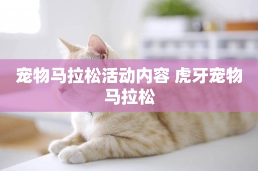 寵物馬拉松活動內容 虎牙寵物馬拉松