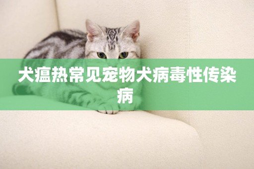 犬瘟熱常見寵物犬病毒性傳染病 