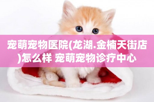 寵萌寵物醫院(龍湖.金楠天街店)怎么樣 寵萌寵物診療中心