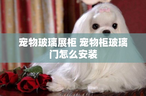 寵物玻璃展柜 寵物柜玻璃門怎么安裝