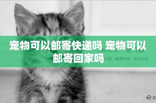 寵物可以郵寄快遞嗎 寵物可以郵寄回家嗎