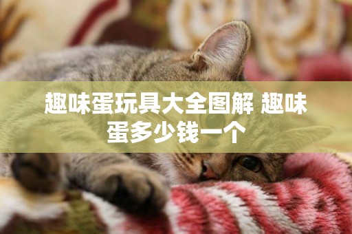 趣味蛋玩具大全圖解 趣味蛋多少錢一個
