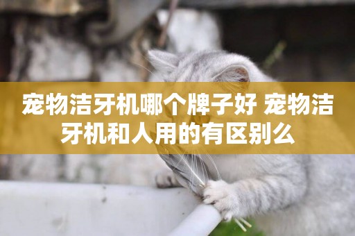 寵物潔牙機哪個牌子好 寵物潔牙機和人用的有區別么