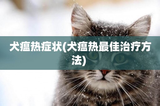 犬瘟熱癥狀(犬瘟熱最佳治療方法) 