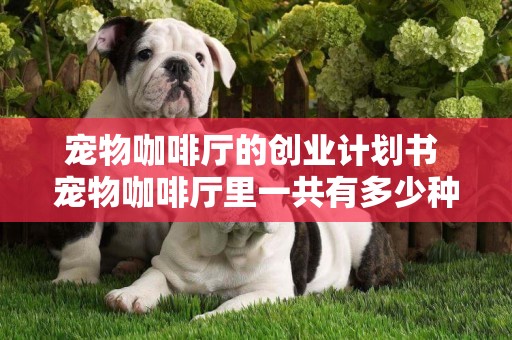寵物咖啡廳的創業計劃書 寵物咖啡廳里一共有多少種工作崗位?