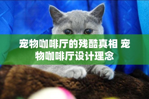 寵物咖啡廳的殘酷真相 寵物咖啡廳設計理念