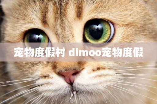寵物度假村 dimoo寵物度假