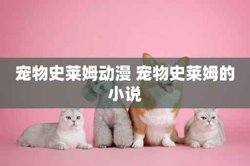 寵物史萊姆動漫 寵物史萊姆的小說