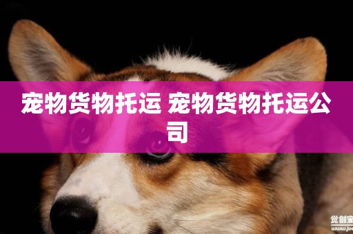寵物貨物托運 寵物貨物托運公司