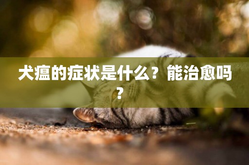犬瘟的癥狀是什么？能治愈嗎？ 