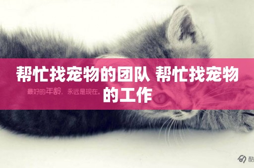幫忙找寵物的團隊 幫忙找寵物的工作