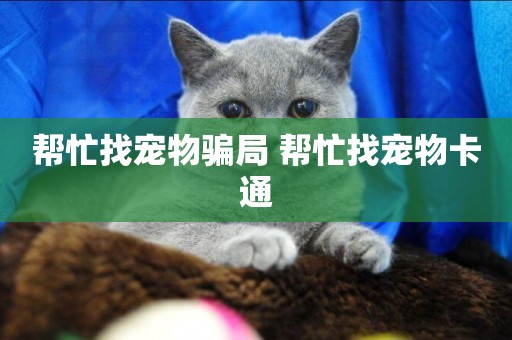 幫忙找寵物騙局 幫忙找寵物卡通