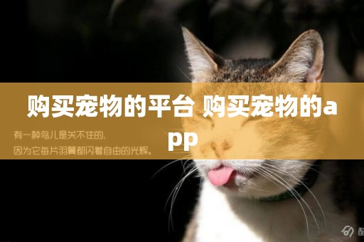 購買寵物的平臺 購買寵物的app