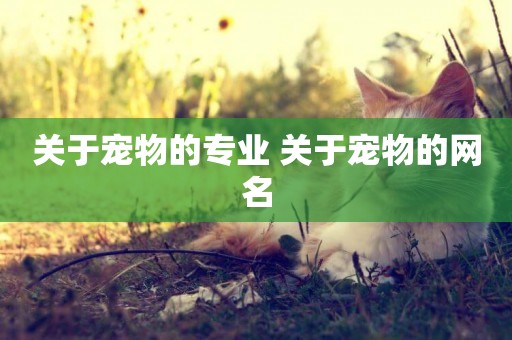 關于寵物的專業 關于寵物的網名