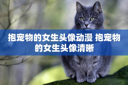 抱寵物的女生頭像動漫 抱寵物的女生頭像清晰