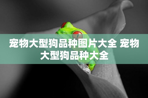 寵物大型狗品種圖片大全 寵物大型狗品種大全