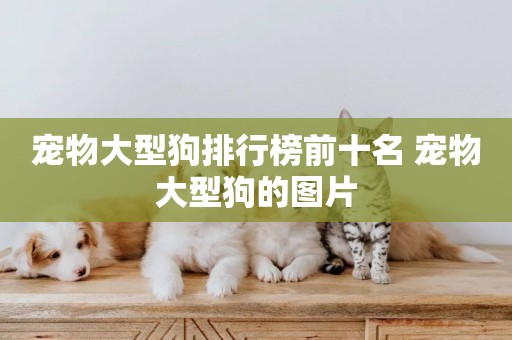 寵物大型狗排行榜前十名 寵物大型狗的圖片