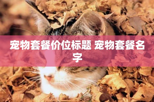 寵物套餐價位標題 寵物套餐名字