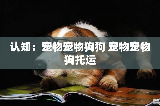 認知：寵物寵物狗狗 寵物寵物狗托運