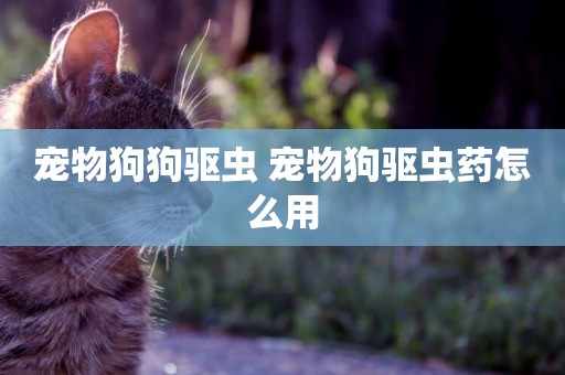 寵物狗狗驅蟲 寵物狗驅蟲藥怎么用