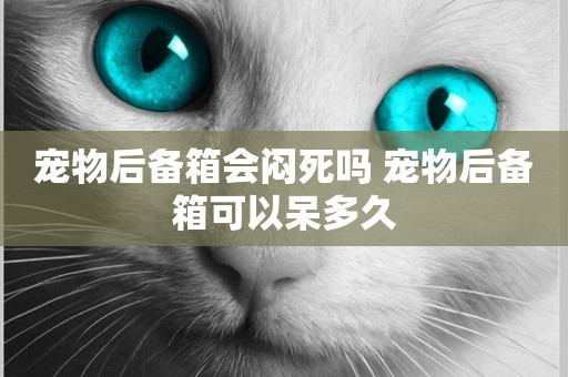 寵物后備箱會悶死嗎 寵物后備箱可以呆多久