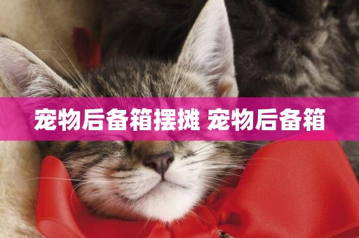 寵物后備箱擺攤 寵物后備箱