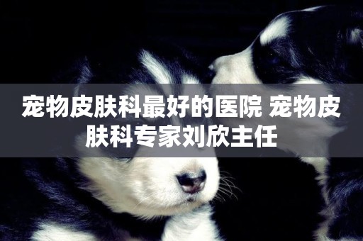 寵物皮膚科最好的醫院 寵物皮膚科專家劉欣主任
