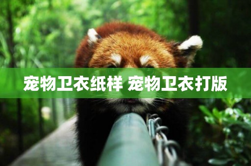 寵物衛衣紙樣 寵物衛衣打版