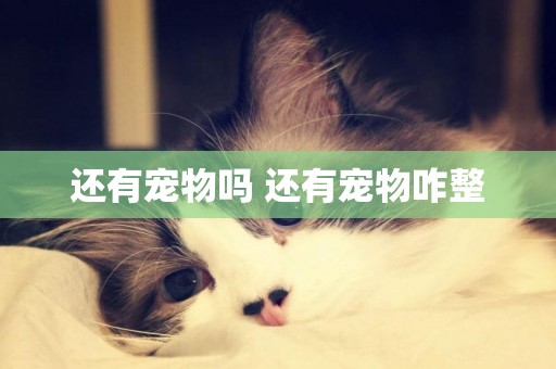 還有寵物嗎 還有寵物咋整
