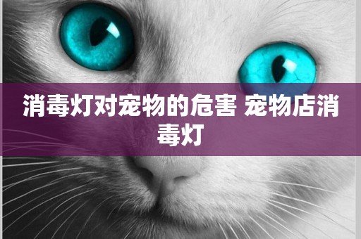 消毒燈對寵物的危害 寵物店消毒燈