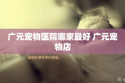 廣元寵物醫院哪家最好 廣元寵物店