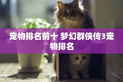寵物排名前十 夢幻群俠傳3寵物排名