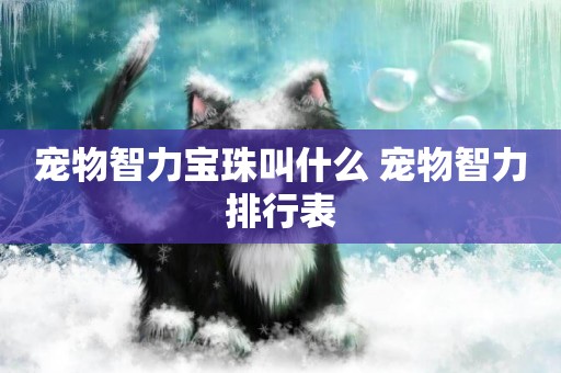 寵物智力寶珠叫什么 寵物智力排行表