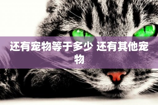 還有寵物等于多少 還有其他寵物