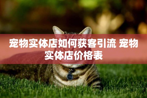 寵物實體店如何獲客引流 寵物實體店價格表
