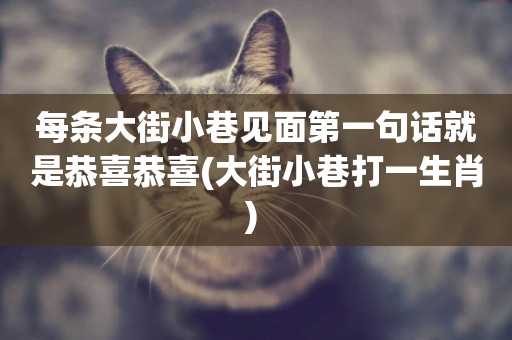 每條大街小巷見面第一句話就是恭喜恭喜(大街小巷打一生肖) 
