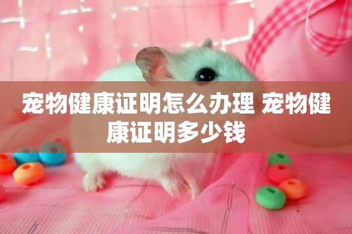 寵物健康證明怎么辦理 寵物健康證明多少錢