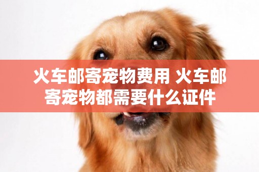 火車郵寄寵物費用 火車郵寄寵物都需要什么證件