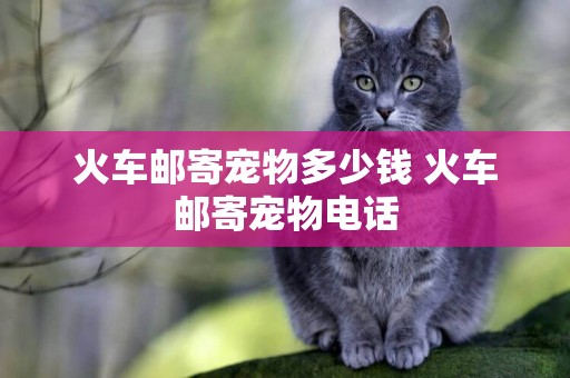 火車郵寄寵物多少錢 火車郵寄寵物電話