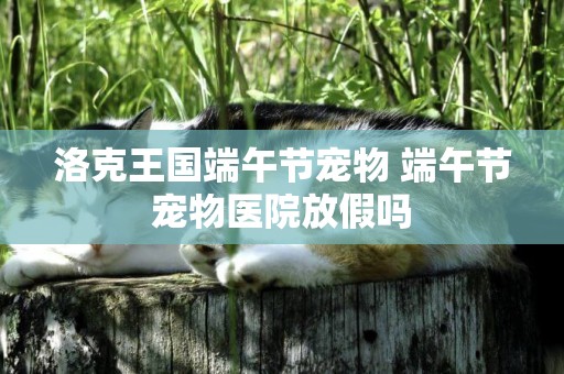 洛克王國端午節寵物 端午節寵物醫院放假嗎