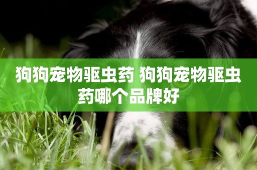 狗狗寵物驅蟲藥 狗狗寵物驅蟲藥哪個品牌好