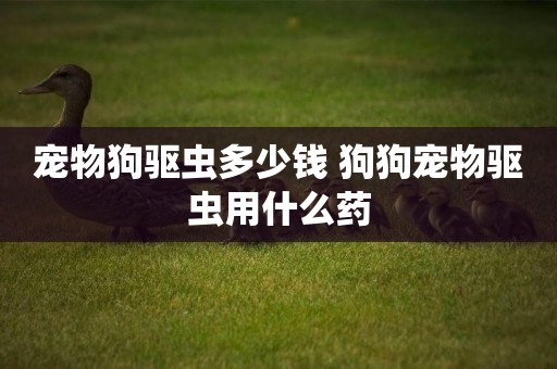 寵物狗驅蟲多少錢 狗狗寵物驅蟲用什么藥