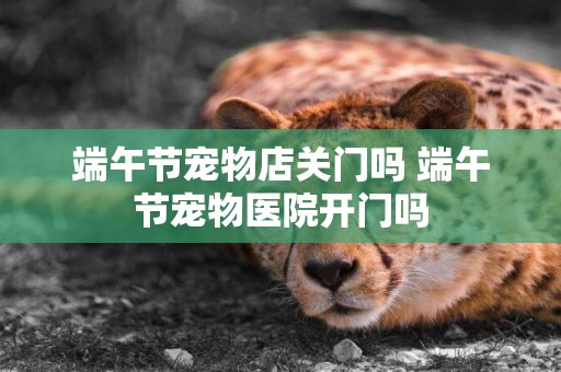 端午節寵物店關門嗎 端午節寵物醫院開門嗎